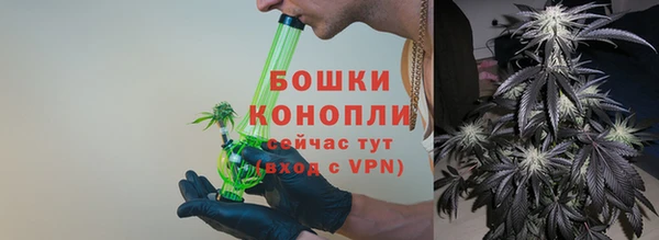 шишки Алзамай
