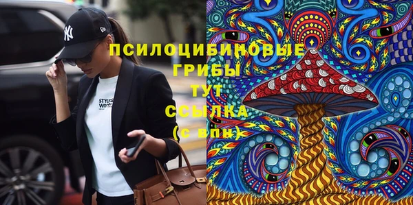 шишки Алзамай
