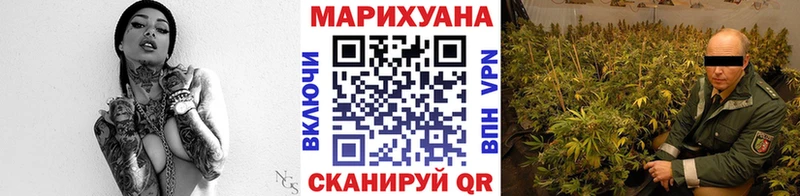 где купить наркоту Кизел MEGA ССЫЛКА Шишки марихуана сатива